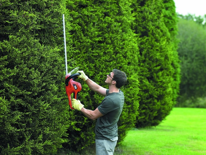 Immagine prodotto Black & Decker Gt7030 (Tagliasiepi elettrica)