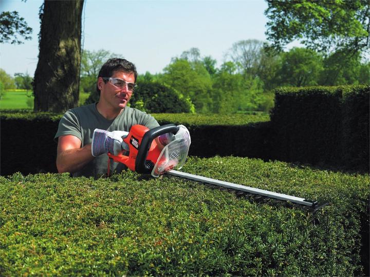Image du produit Black & Decker Gt6030