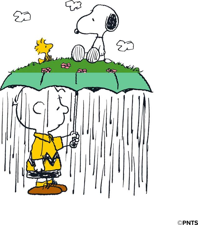 Immagine prodotto Case & Me case&me Peanuts cover cam logo per iPhone 14 Pro design1 Linus Umbrella (Apple iPhone 14 Pro)