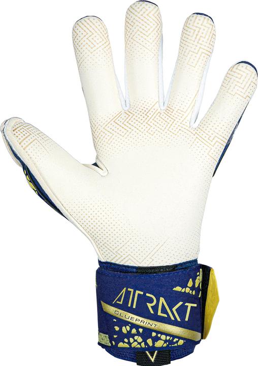 Produktbild Reusch Attrakt Gold X (10)