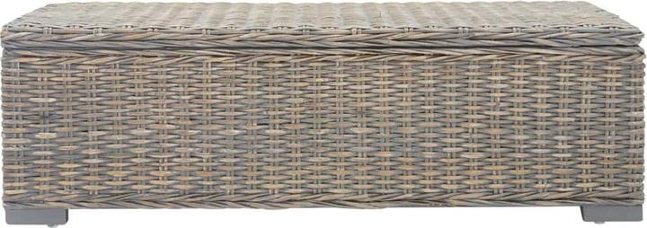 Image du produit vidaXL Truhe (110 cm)