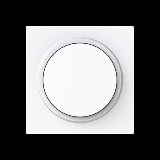 Actual product image Busch-Jaeger Central disc