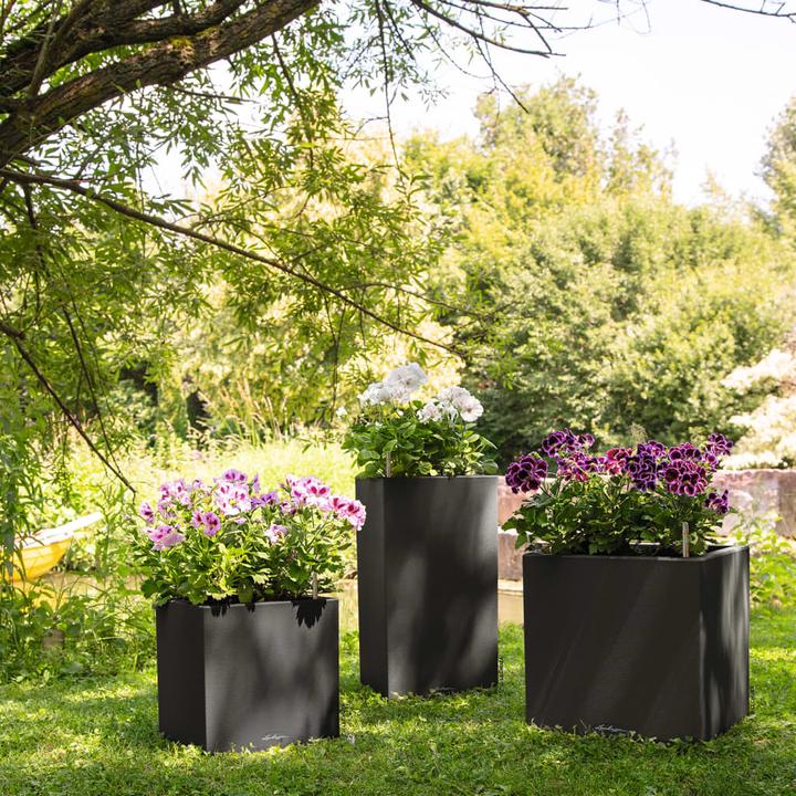 Image du produit Lechuza Canto Color Cube (30 x 30 x 30 cm)