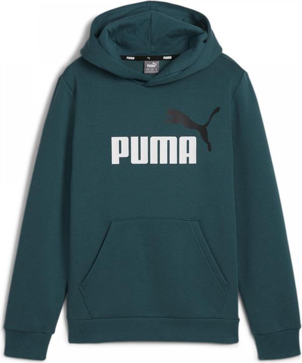 Actual product image Puma ESS+ 2 Col Big Logo Hoodie FL B (140)