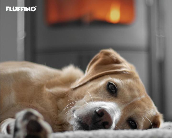 Produktbild Fluffino Hunde-Decke S, Grau (Hund)