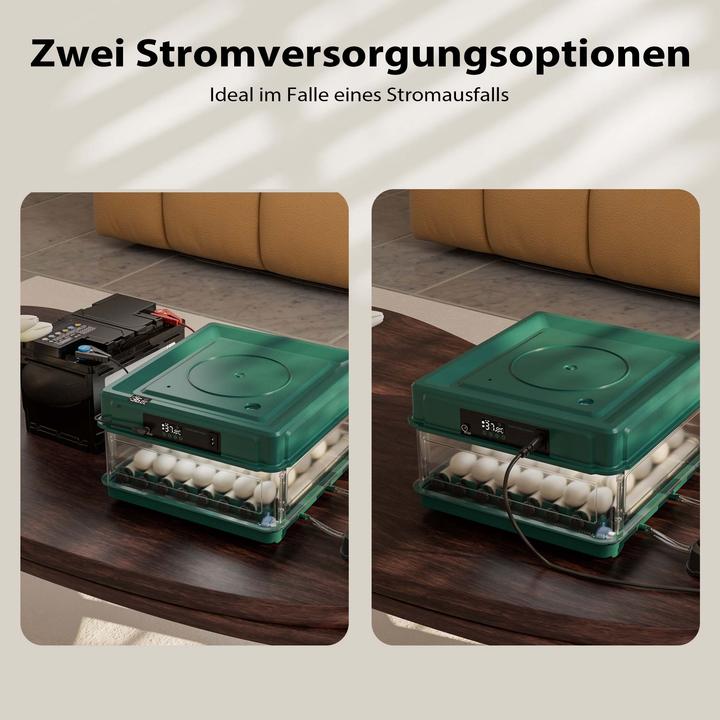 Actual product image Fudajo Eggs incubator