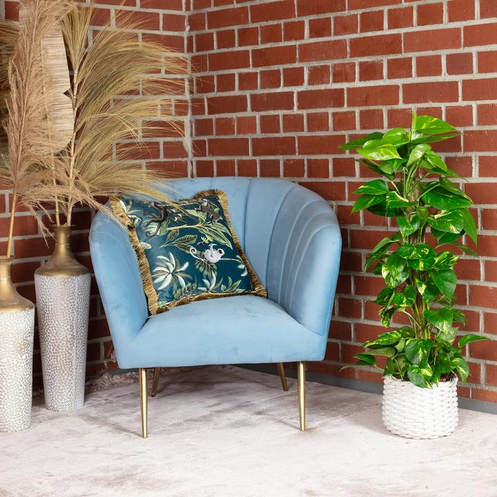 Immagine prodotto Flowerbox Efeutute am Moosstab - Epipremnum aureum