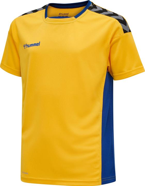 Sportsyellowtrueblue