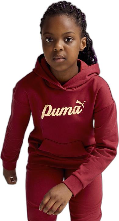 Actual product image Puma ESS+ SCRIPT Metallic Hoodie FL G (152)