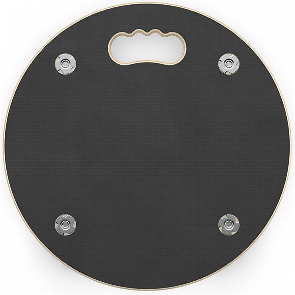 Actual product image Wagner System MaxiGRIP (250 kg)