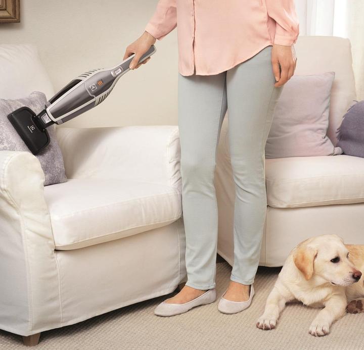 Actual product image Electrolux Ergorapido 2in1 ZB3230P Animal Care