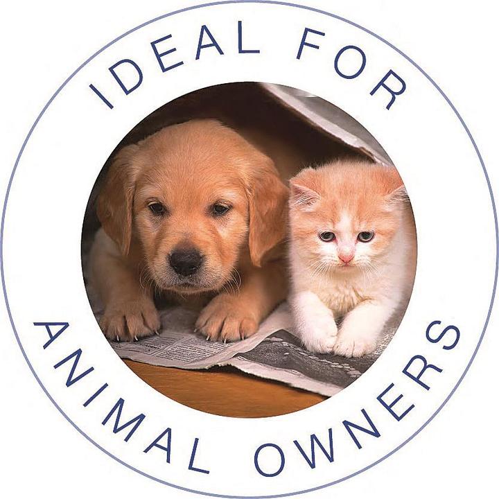 Actual product image Electrolux Ergorapido 2in1 ZB3230P Animal Care