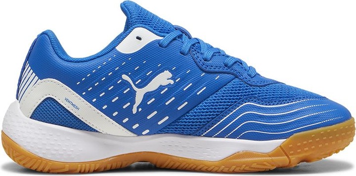pumateamroyalpumawhite