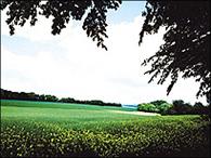 Produktbild Cokin X121L Verlauffilter grau 2 (ND2) (ND- / Graufilter)