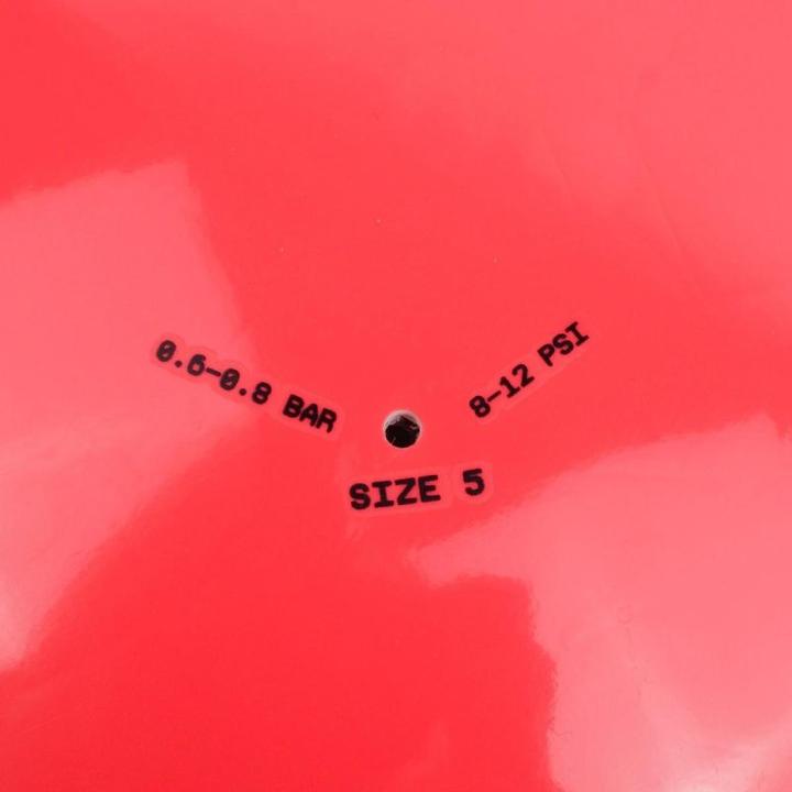 Actual product image Nike Football pitch team (5)