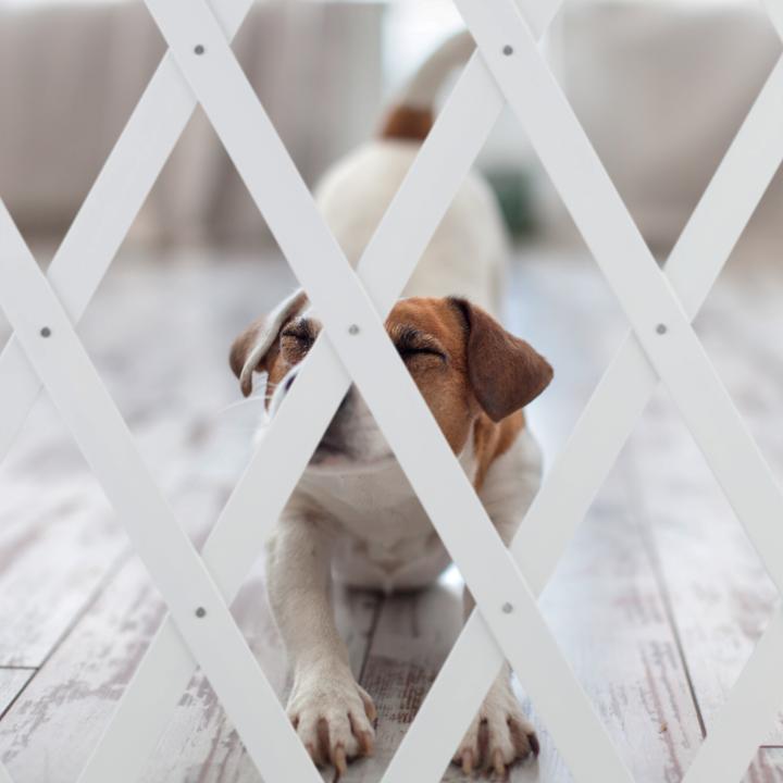 Actual product image Relaxdays Hundeabsperrgitter (150 cm)