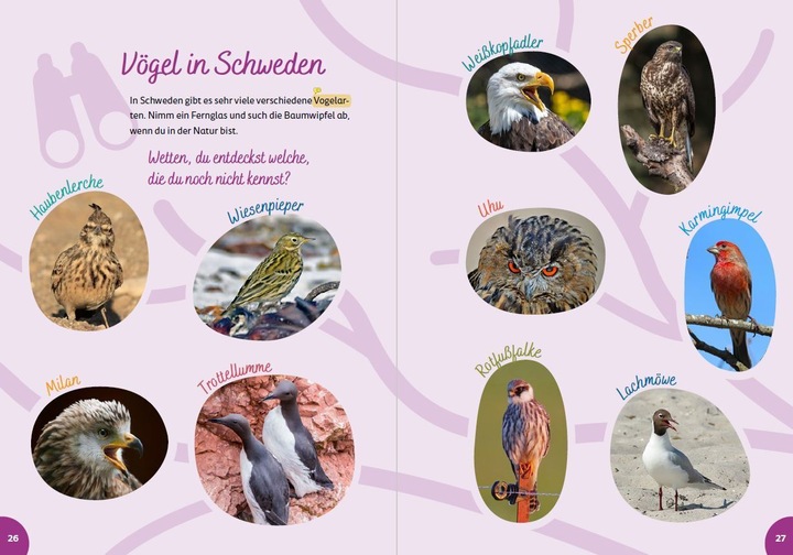 Produktbild Schweden for kids (Deutsch, Britta Schmidt von Groeling, 2023)