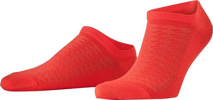 Produktbild Burlington Cornwall (Einzelpack, 40 - 46)