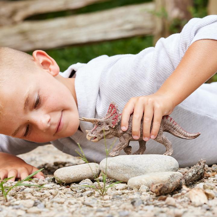 Actual product image Schleich Triceratops