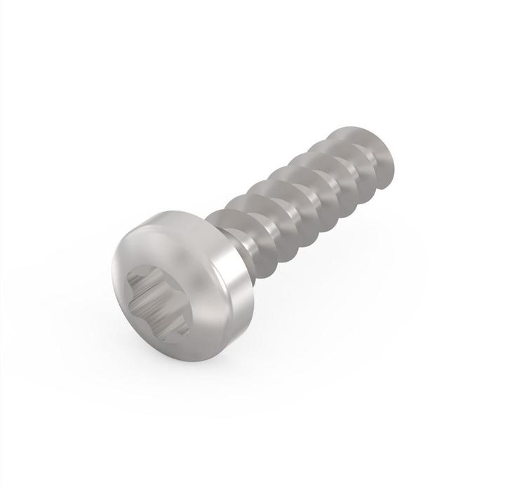Image du produit Schroff vis à tête bombée avec torx - likoschr-torx.2.5x9.3 100pc