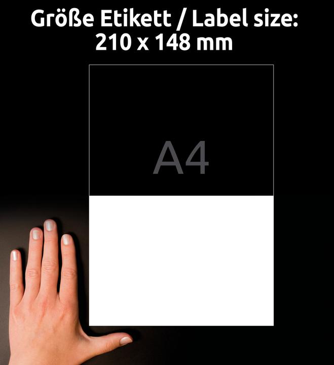 Image du produit Avery Étiquettes universelles