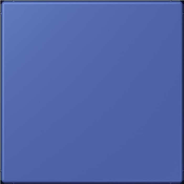 Produktbild JUNG Blindabdeckung