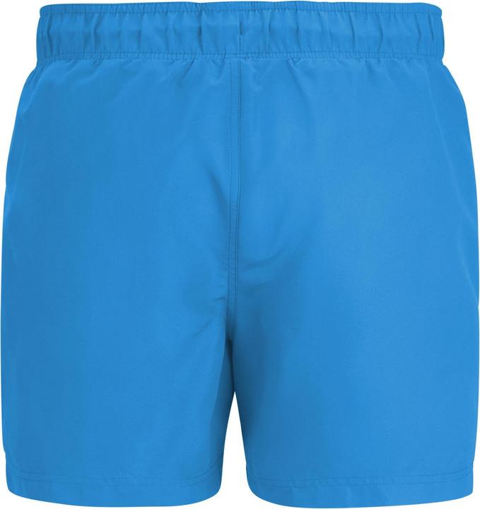 Produktbild Regatta Mawson II Kurze Hose (XXL)