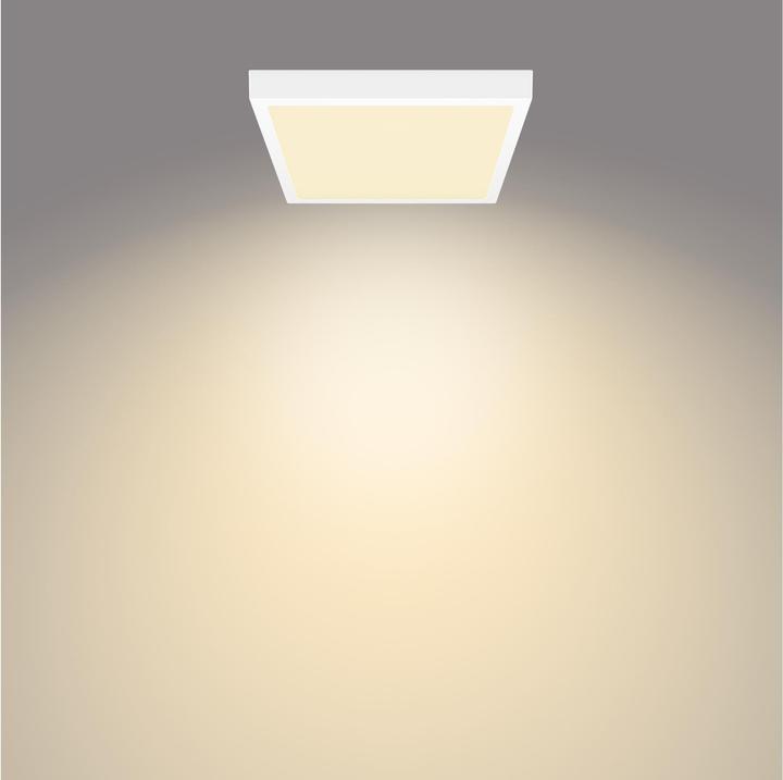 Actual product image Philips Slim Surface DL252 (2000 lm)