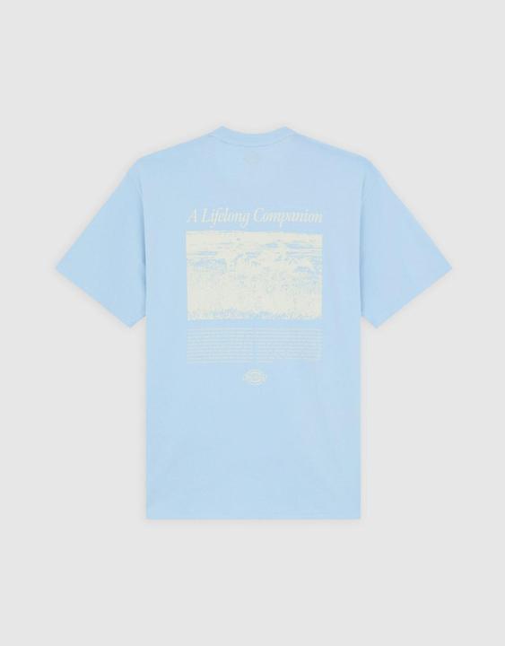 Actual product image Dickies Companion Script Ss Tee Skyway (S, M, L)