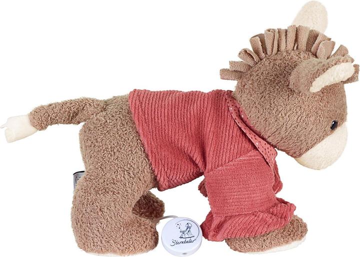 Actual product image Sterntaler Music box