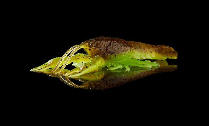 Immagine prodotto Savage Gear Ned Craw (6.50 cm)