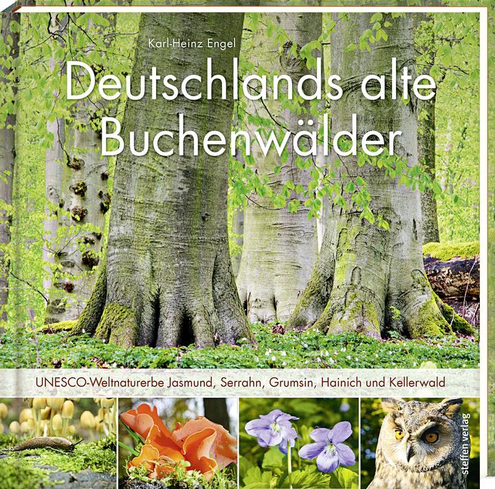 Produktbild Deutschlands alte Buchenwälder (Deutsch, Karl-Heinz Engel, 2015)