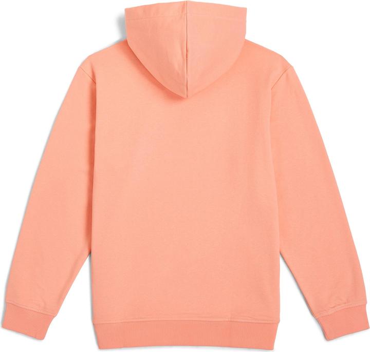 Image du produit O'Neill Logo Hoodie (164)