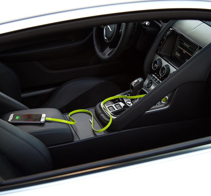 Actual product image Tylt RIBBN Dual Car Charger Green