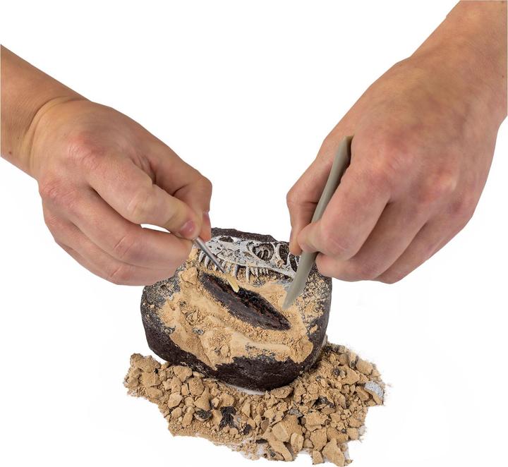Actual product image Boti National Geographic Dinosaur Counting Set