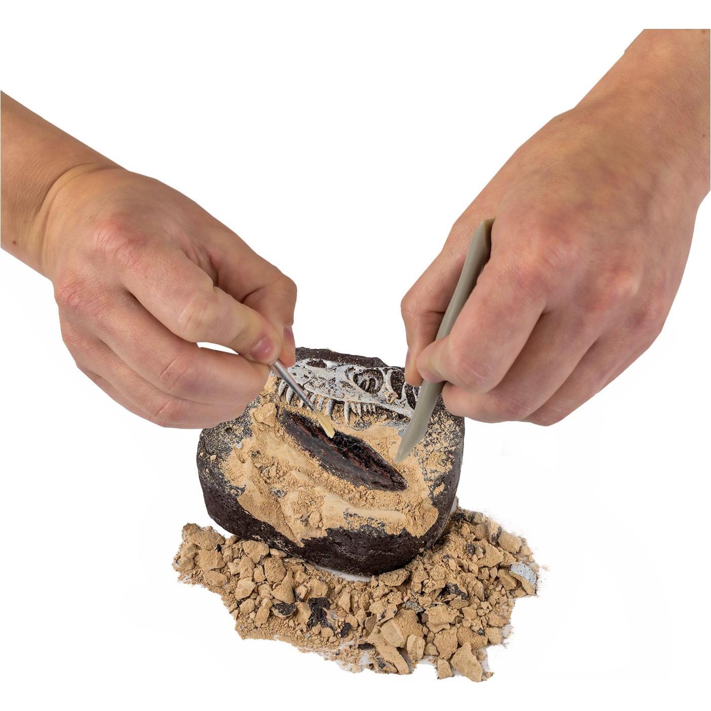 Thumbnail - Boti National Geographic Dinosaurier-Zählset