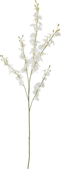 Immagine prodotto Bloomingville Orchid (91.50 cm)
