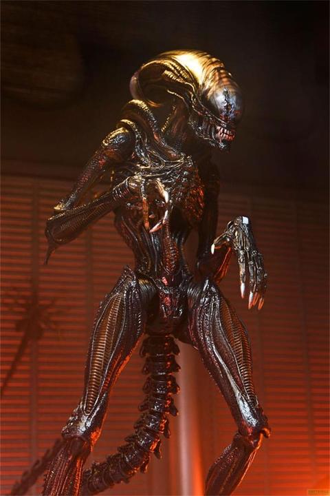 Actual product image Neca Alien: Romulus Ultimate Scorched Xenomorph