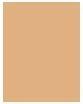 Actual product image Shiseido Syncho Skin Self Refreshing Liquid Concealer (301 Medium)
