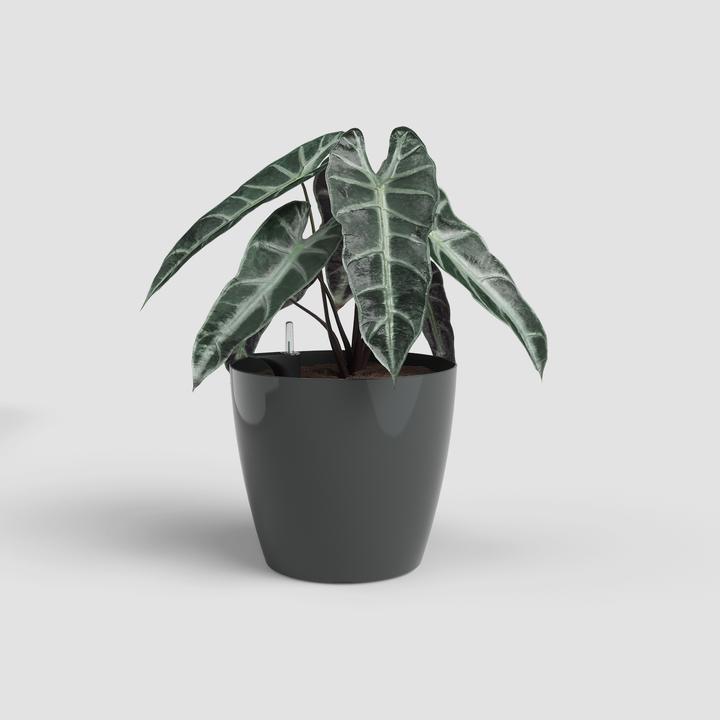 Image du produit Artevasi San Remo Pot Sws