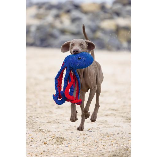 Thumbnail - Beeztees Oktopus Amy (Plüschspielzeug), Hundespielzeug