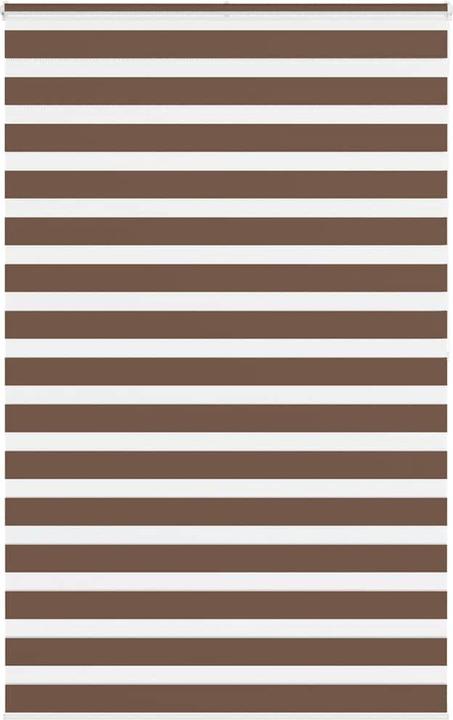 Produktbild vidaXL Zebra-Jalousie (145 x 200 cm)