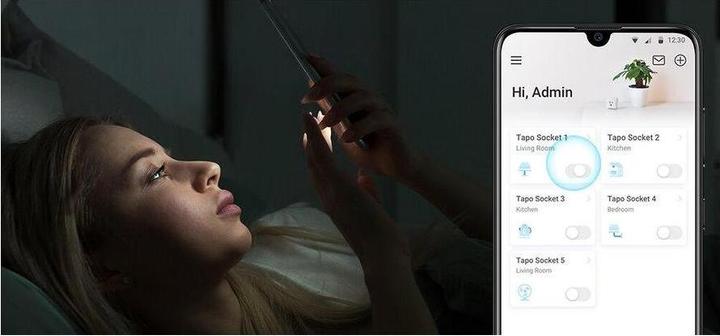 Image du produit TP-Link TAPO P100(PACK DE 2)