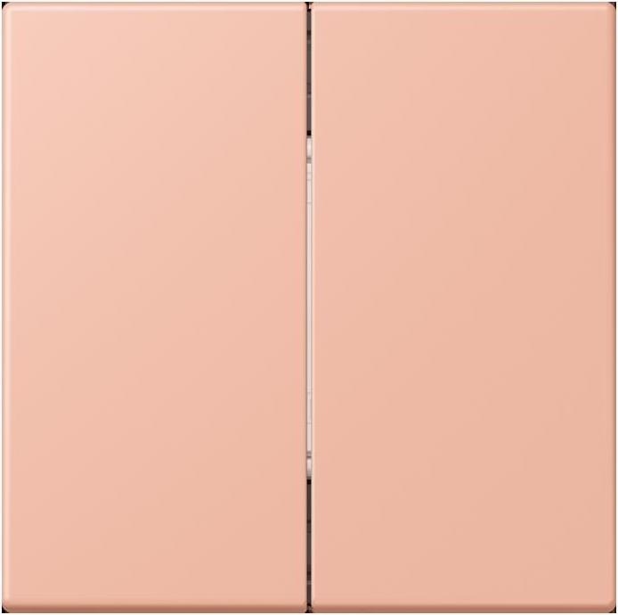 Image du produit JUNG BLELC995231