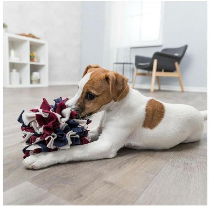 Immagine prodotto Trixie Palla di fiuto (Intelligenza cane toy)