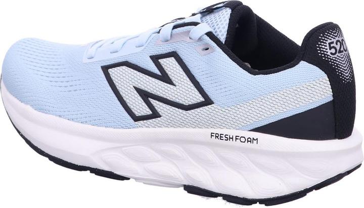 Image du produit New Balance W520V9 (41)