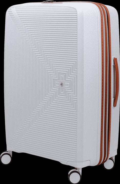 Actual product image Swissbags New Vision (94 l)