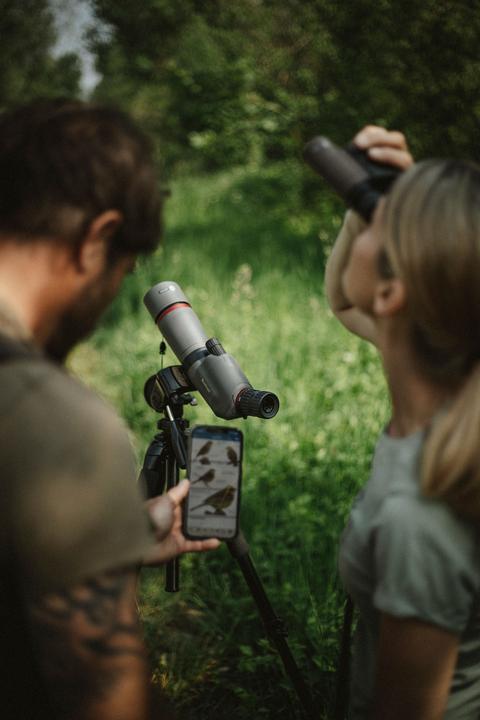 Immagine prodotto Bushnell Nitro (20x, 65 mm)