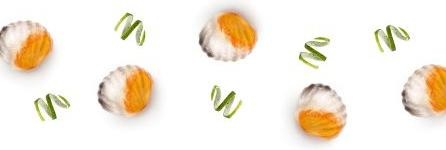Produktbild Lékué Ice Cubes