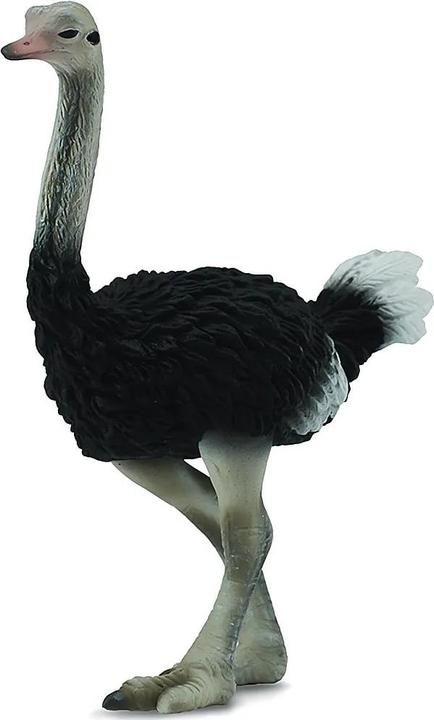 Produktbild Collecta Strauss